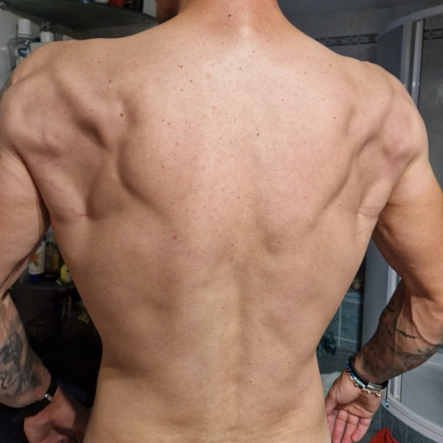 Nicol, Brno Nicol, Brno