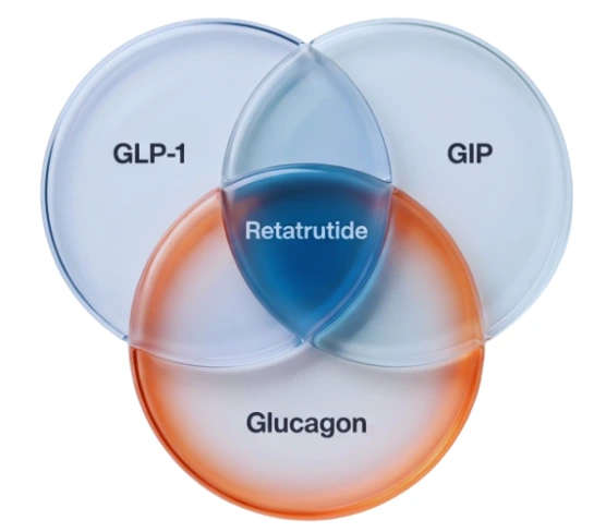 chart showing the effect of retatrutide on hormones in the human body