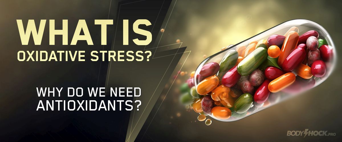 What is oxidative stress? Why do we need antioxidants?